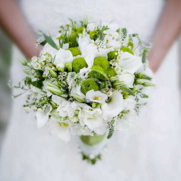 Hydrangea - immagine 2